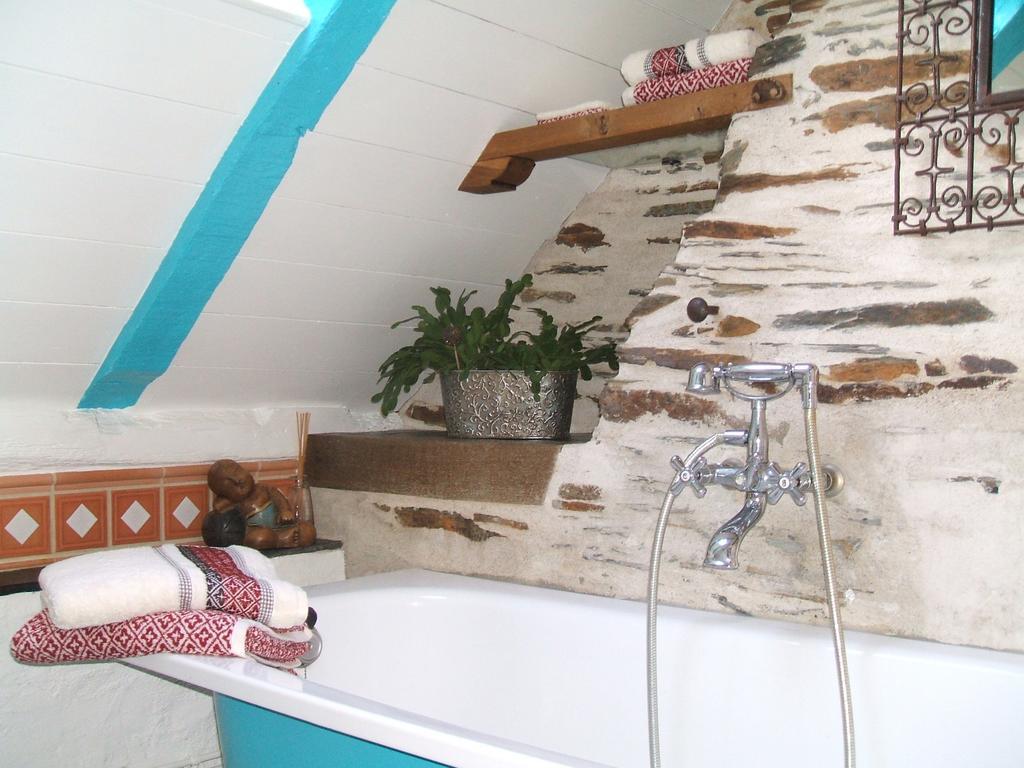 Le Petit Logis De Tinteniac Angers Quarto foto